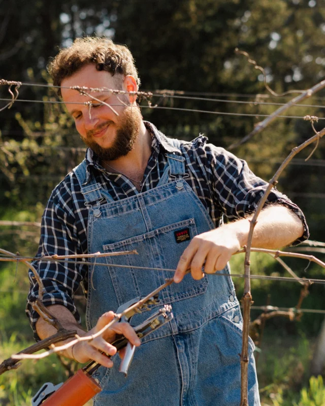 "Da un grande vigneto arriva una grande uva, e da una grande uva arriva un ottimo vino." 

Maicol - viticoltore Vigneti Romio