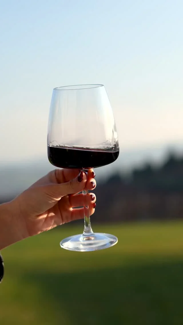 Il Sangiovese è il nostro evergreen: in inverno riscalda i cuori; con i primi caldi ci accompagna all'aperto, in collina, ovunque la bella stagione ci porti.